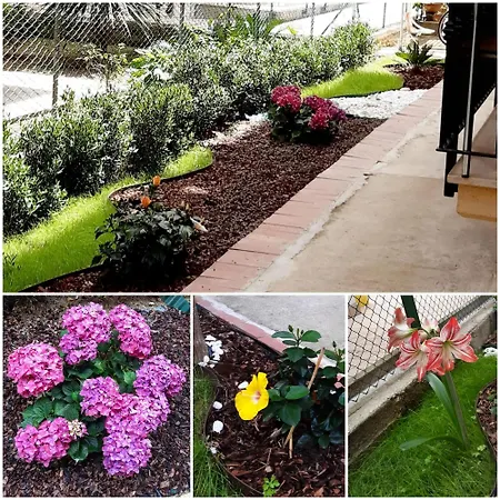 Casa Marcozzi Apartamento *