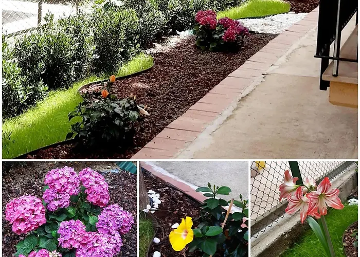 Casa Marcozzi Appartamento *